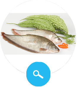 Featherback Fish