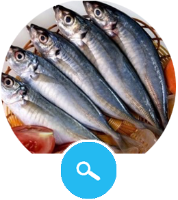 Round Scad Fish