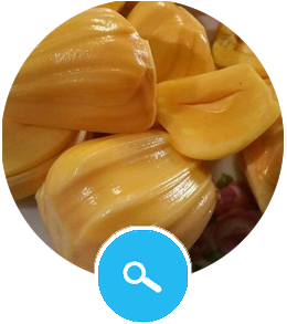 JackFruit