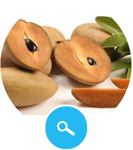 Sapo Fruit