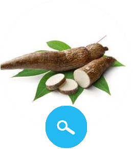 Peeled Cassava