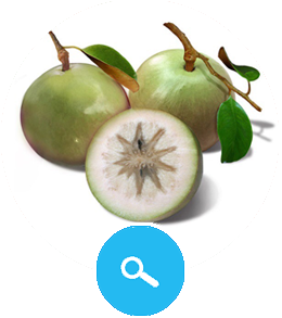 Star Fruit